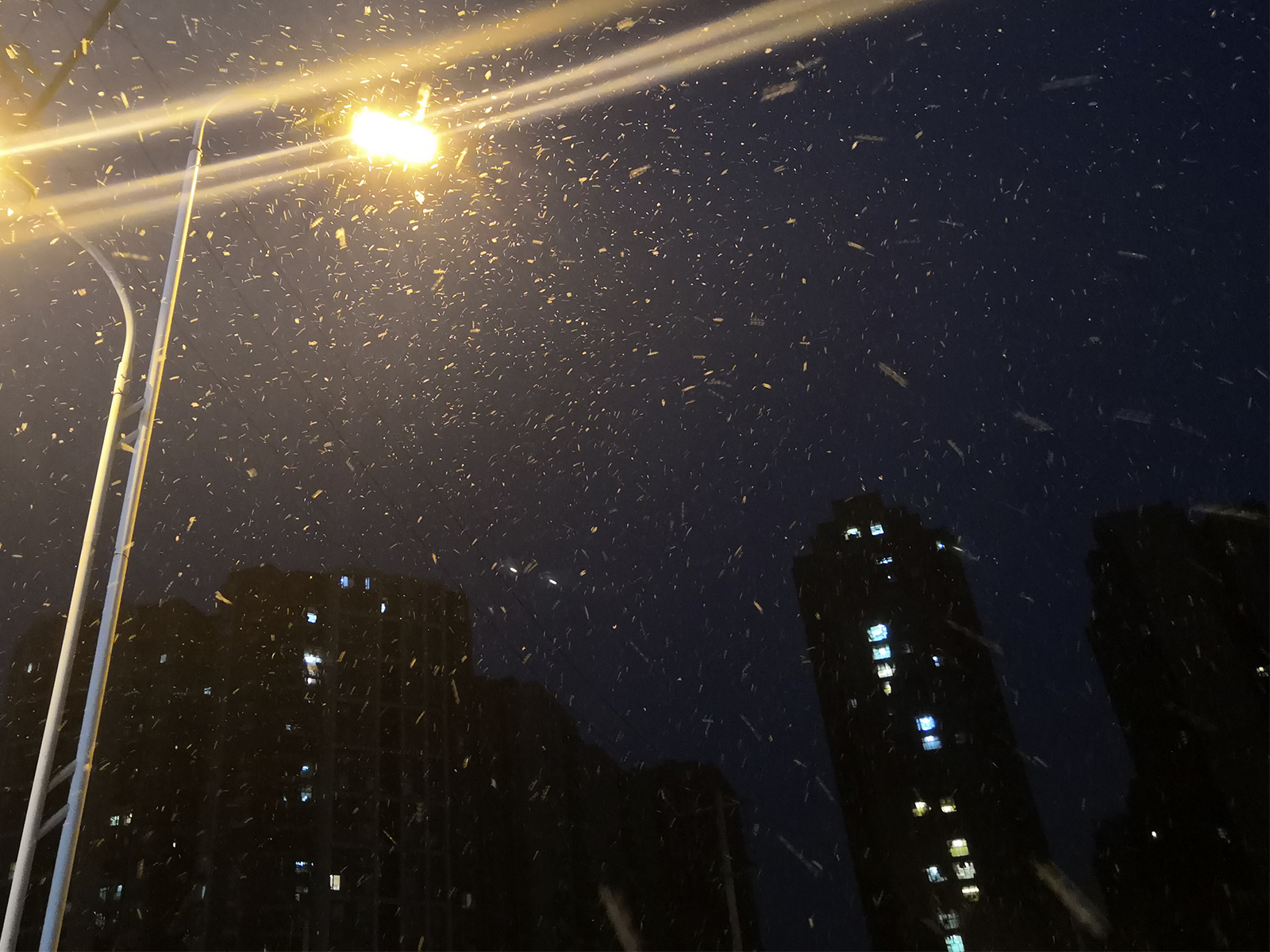 2021年的第一场雪